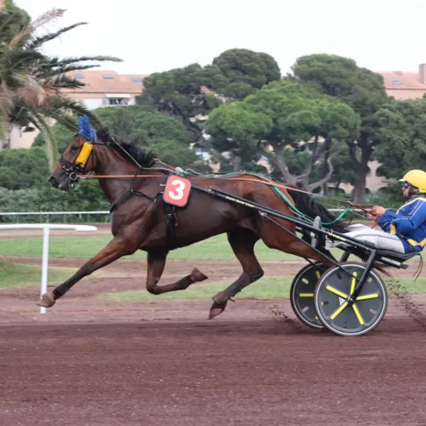 Hyppodrome Hyères Hyppodrome de la plage